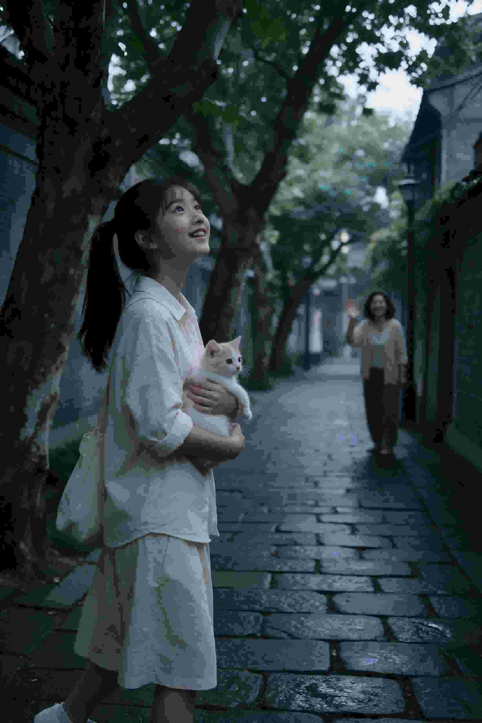 短剧退婚后我成了京圈大佬封面