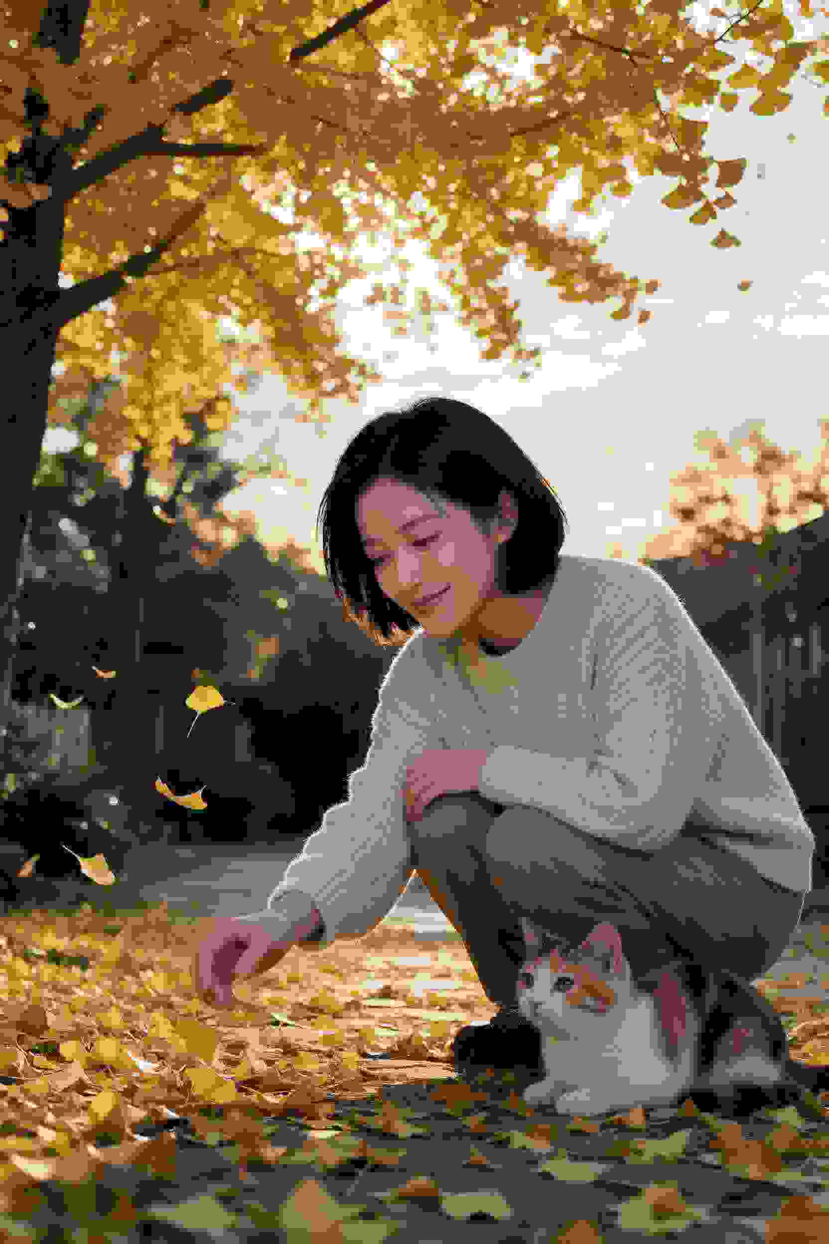 短剧慕先生的心尖宠海报
